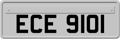 ECE9101