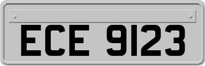 ECE9123