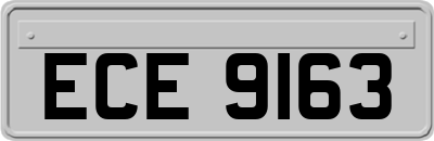 ECE9163