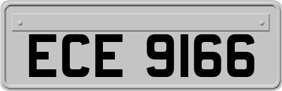 ECE9166