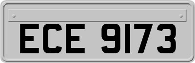 ECE9173