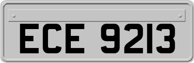 ECE9213