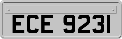 ECE9231