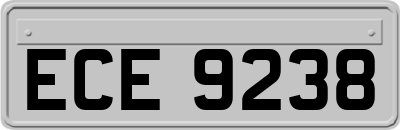 ECE9238