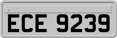 ECE9239