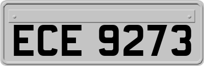 ECE9273