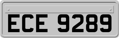 ECE9289