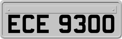 ECE9300