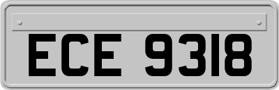 ECE9318