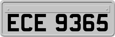 ECE9365