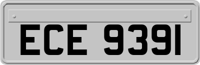 ECE9391