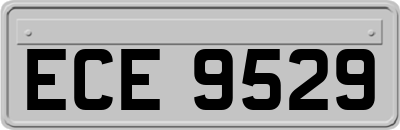 ECE9529