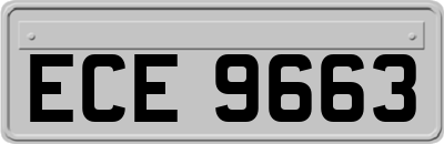 ECE9663