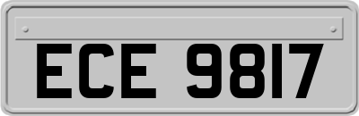 ECE9817
