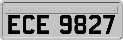 ECE9827