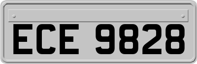 ECE9828