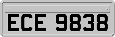 ECE9838
