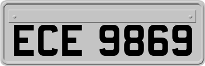 ECE9869