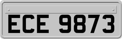 ECE9873