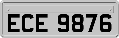 ECE9876