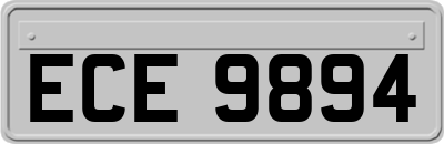 ECE9894