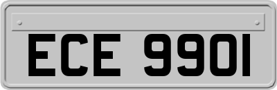 ECE9901