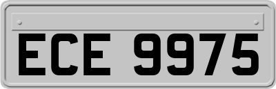 ECE9975