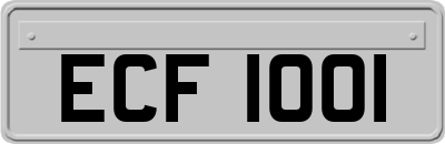 ECF1001
