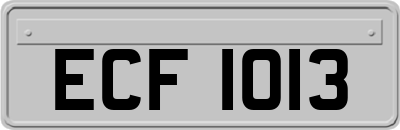 ECF1013