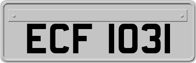 ECF1031