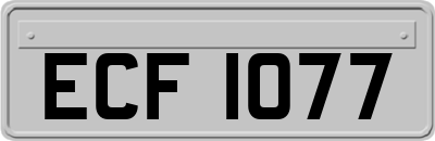 ECF1077