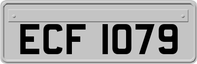 ECF1079
