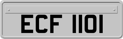 ECF1101