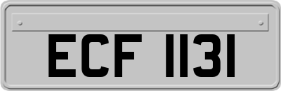 ECF1131
