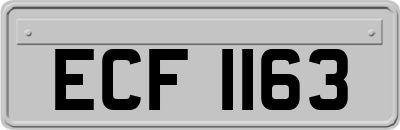 ECF1163