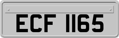 ECF1165