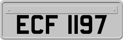 ECF1197