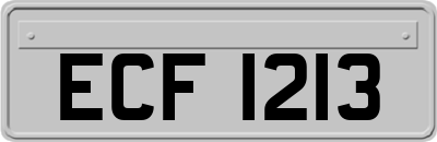 ECF1213