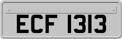 ECF1313