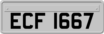 ECF1667