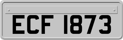 ECF1873