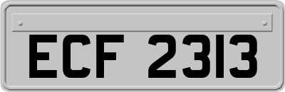 ECF2313