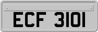 ECF3101