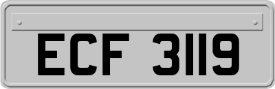 ECF3119