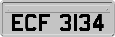 ECF3134