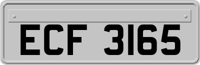 ECF3165