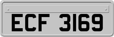 ECF3169