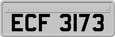 ECF3173