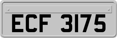 ECF3175
