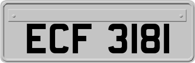 ECF3181